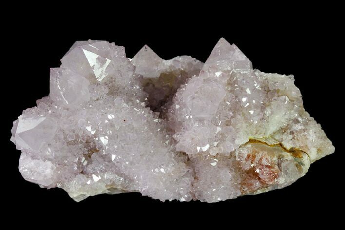 Cactus Quartz (Amethyst) Crystal Cluster - South Africa #137810
